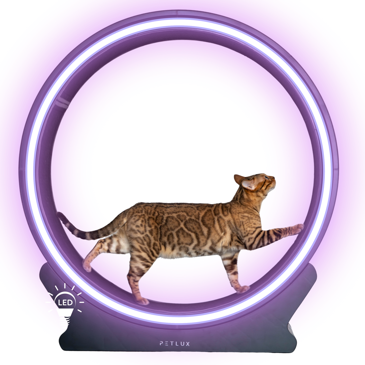 Loopwiel V2