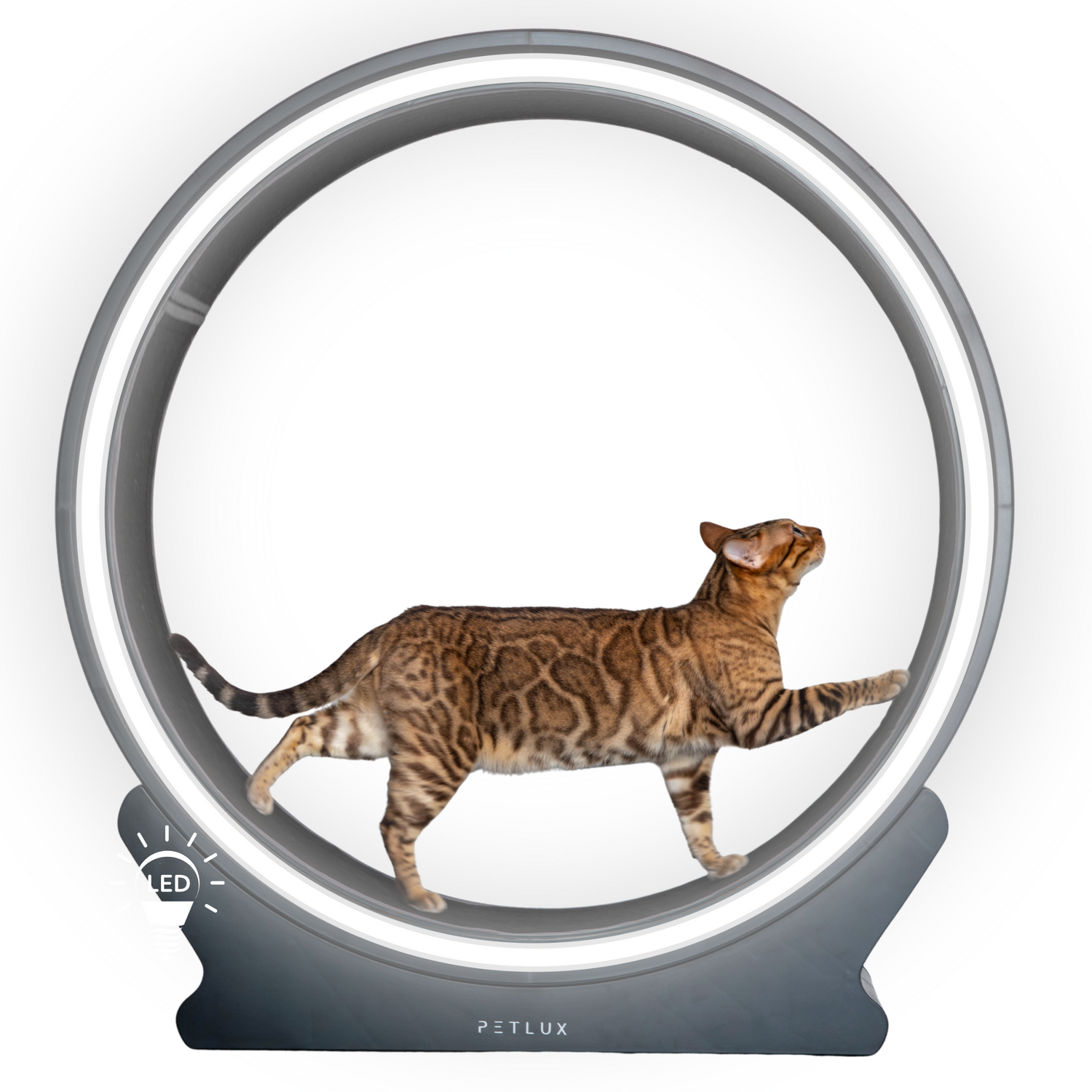 Loopwiel V2