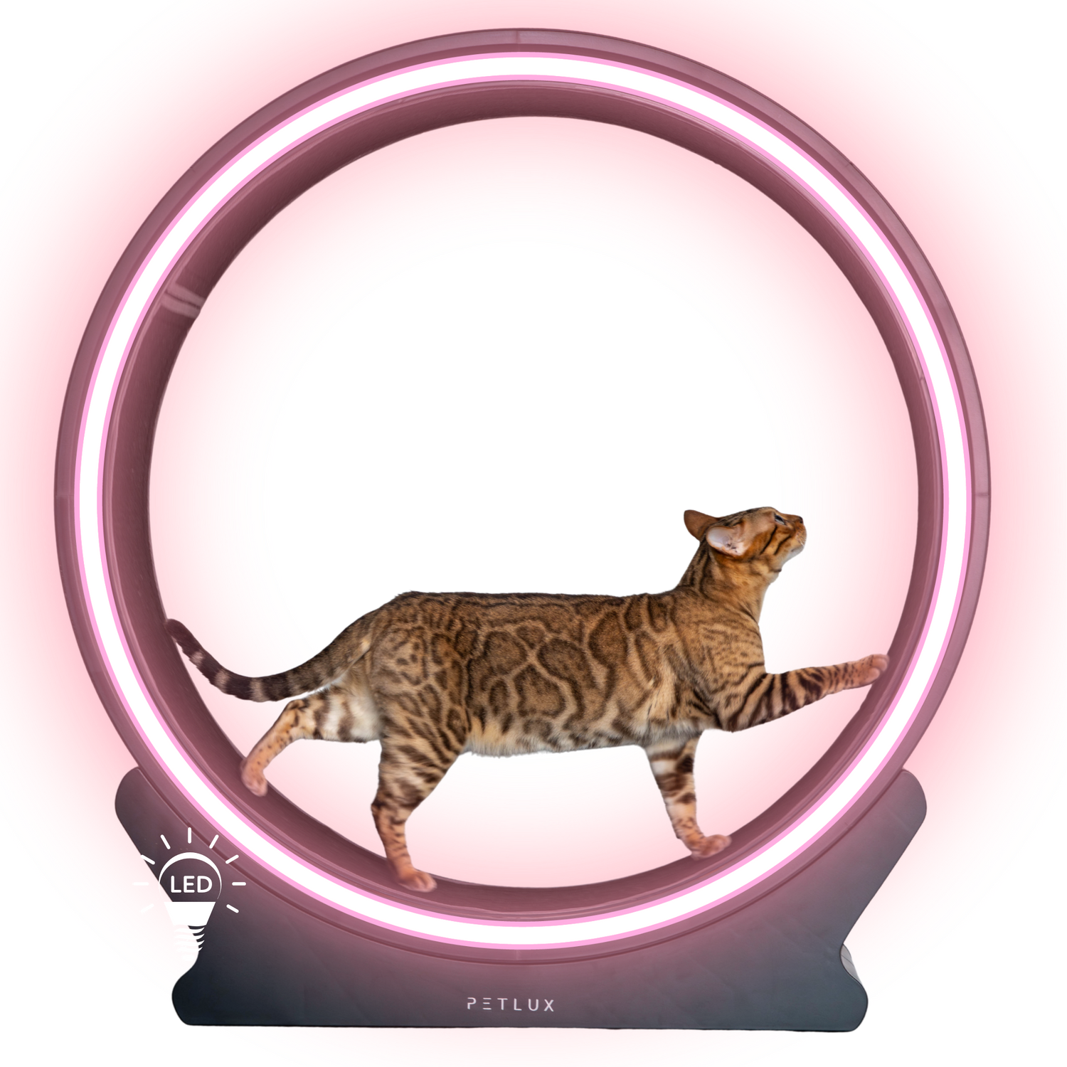 Loopwiel V2