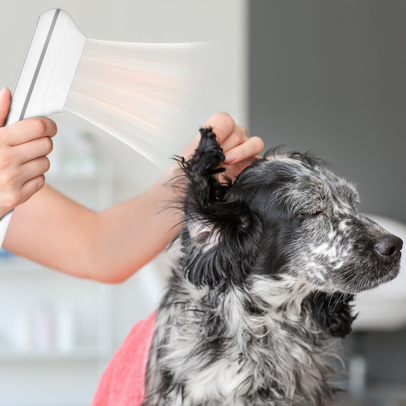 Soplador de agua / Secador de pelo para perros y gatos